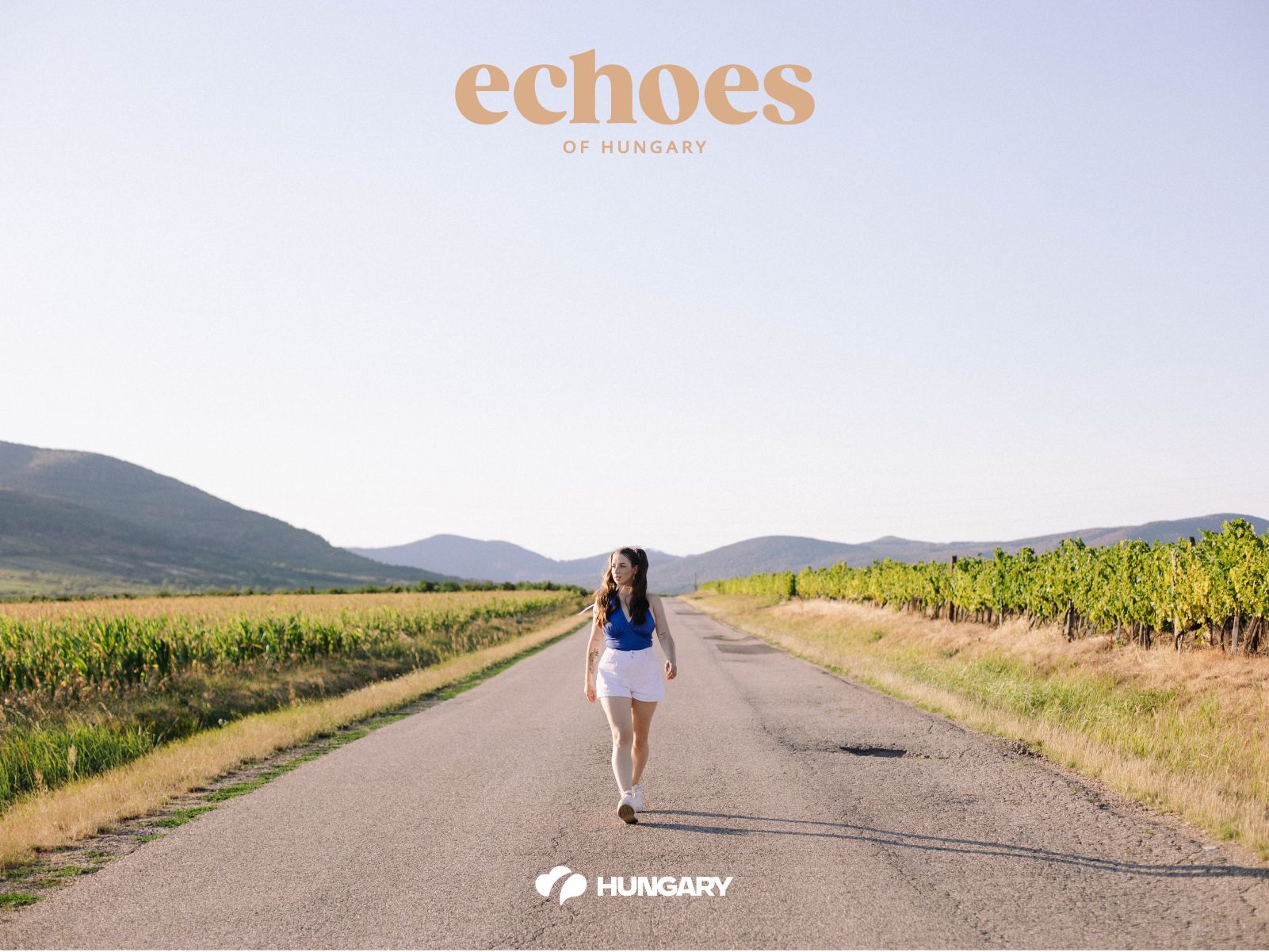 „I guess you can never learn too much about anything.” – An interview with Sylwia Lipka