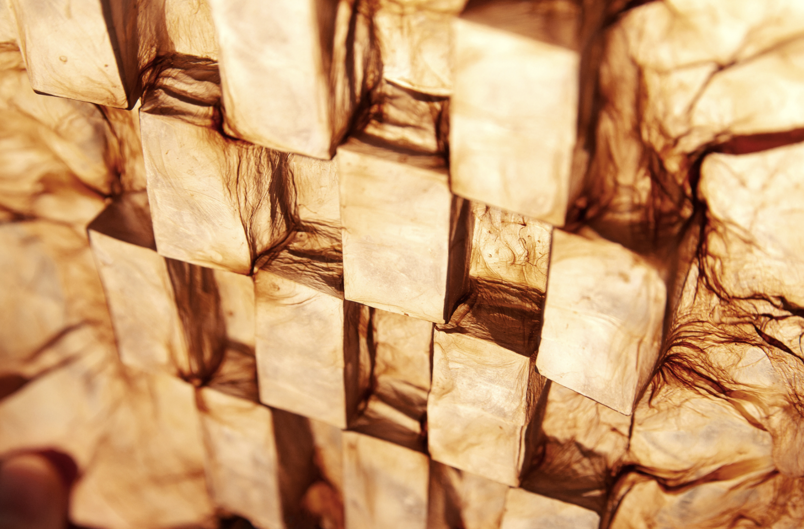 Biodesign that can reshape the future l TOP 5