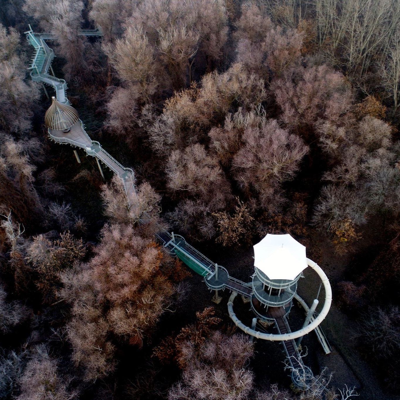 Treetop walks in Hungary with stunning forest views | TOP 5