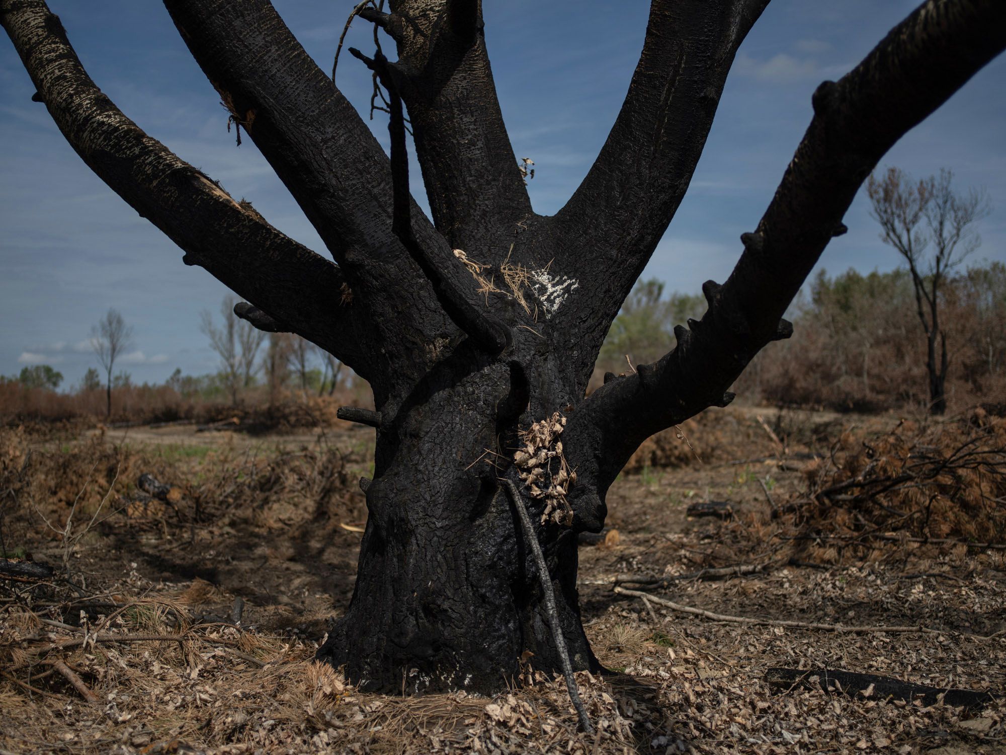 Hungarian photographers unite in memory of Simon Móricz-Sabján