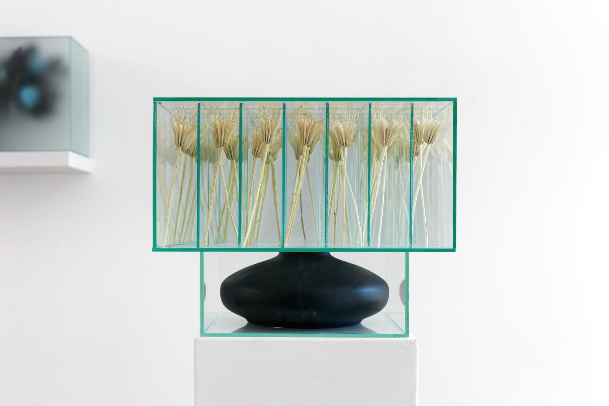 Transience trapped behind glass