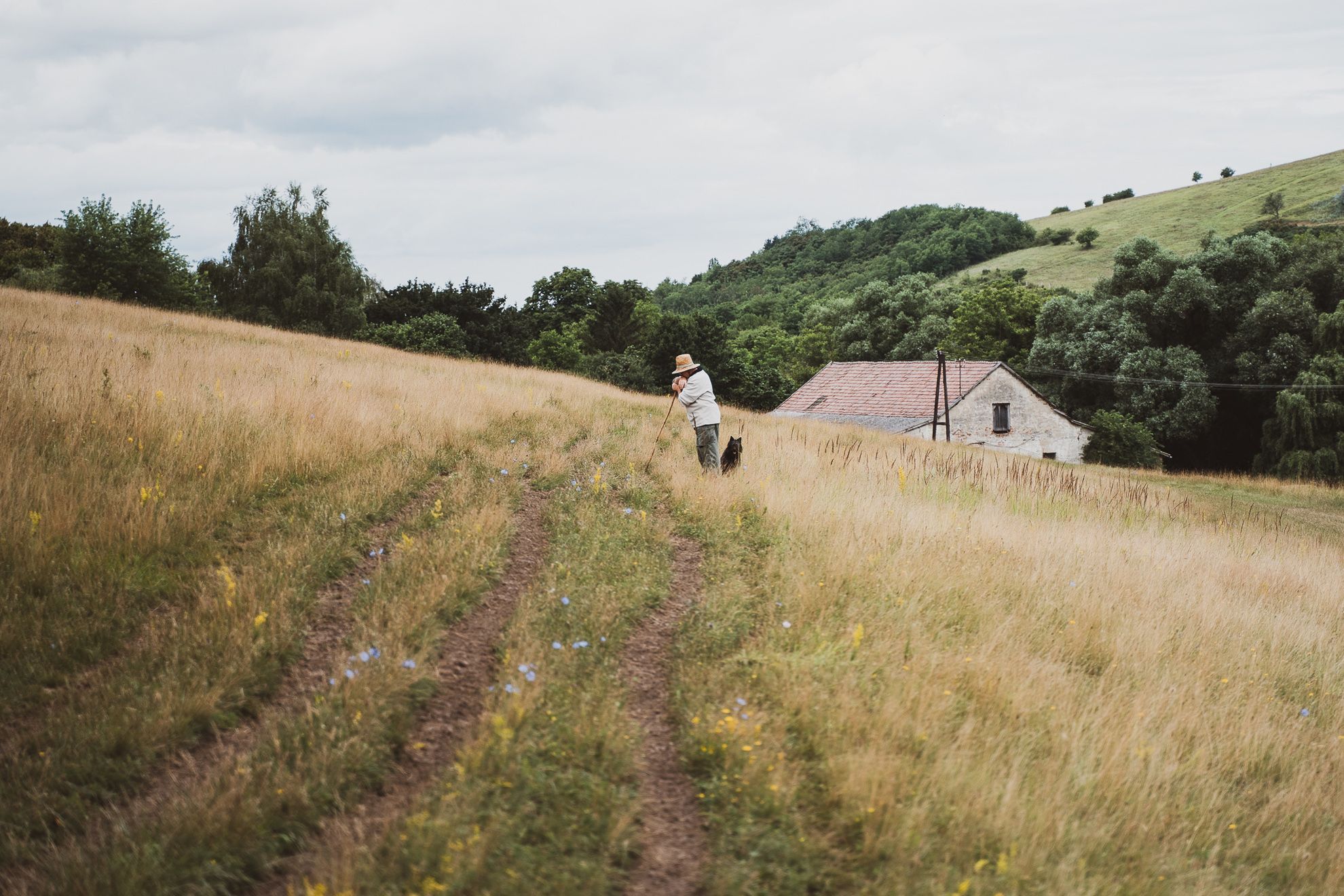 A Görbeország lett a közönség kedvence a Highlights of Hungaryn