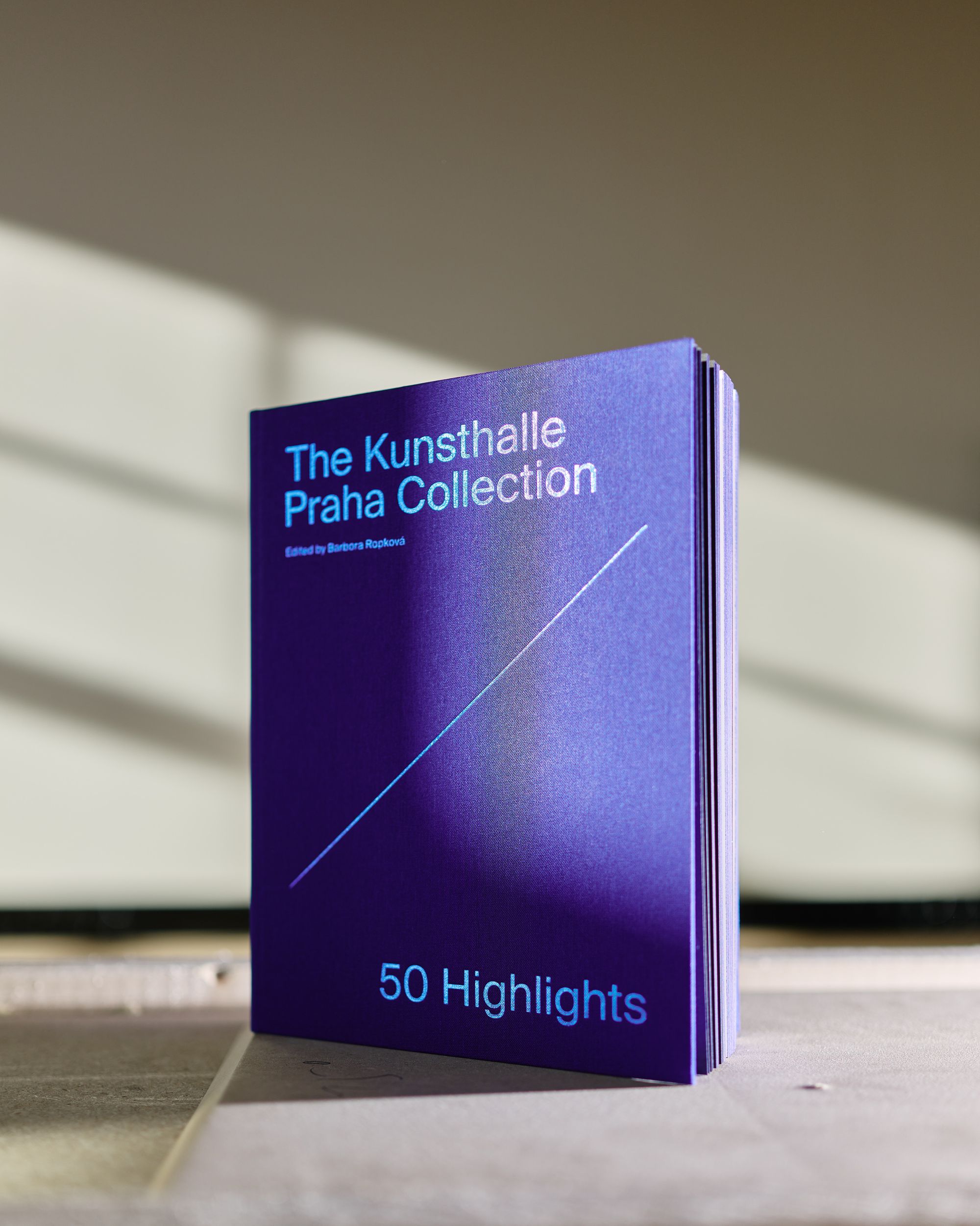 The Kunsthalle Praha Collection: 50 Highlights