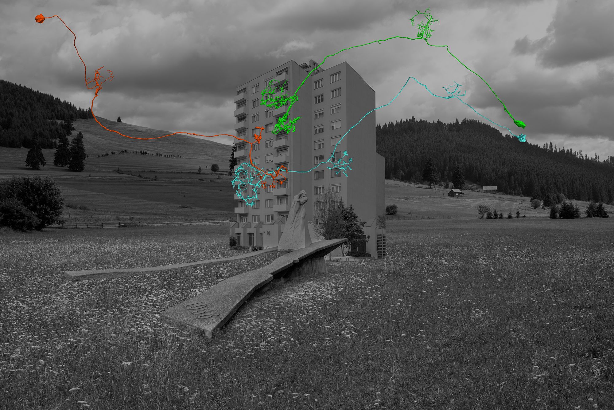 Agykutató és művész találkozása a galéria falán