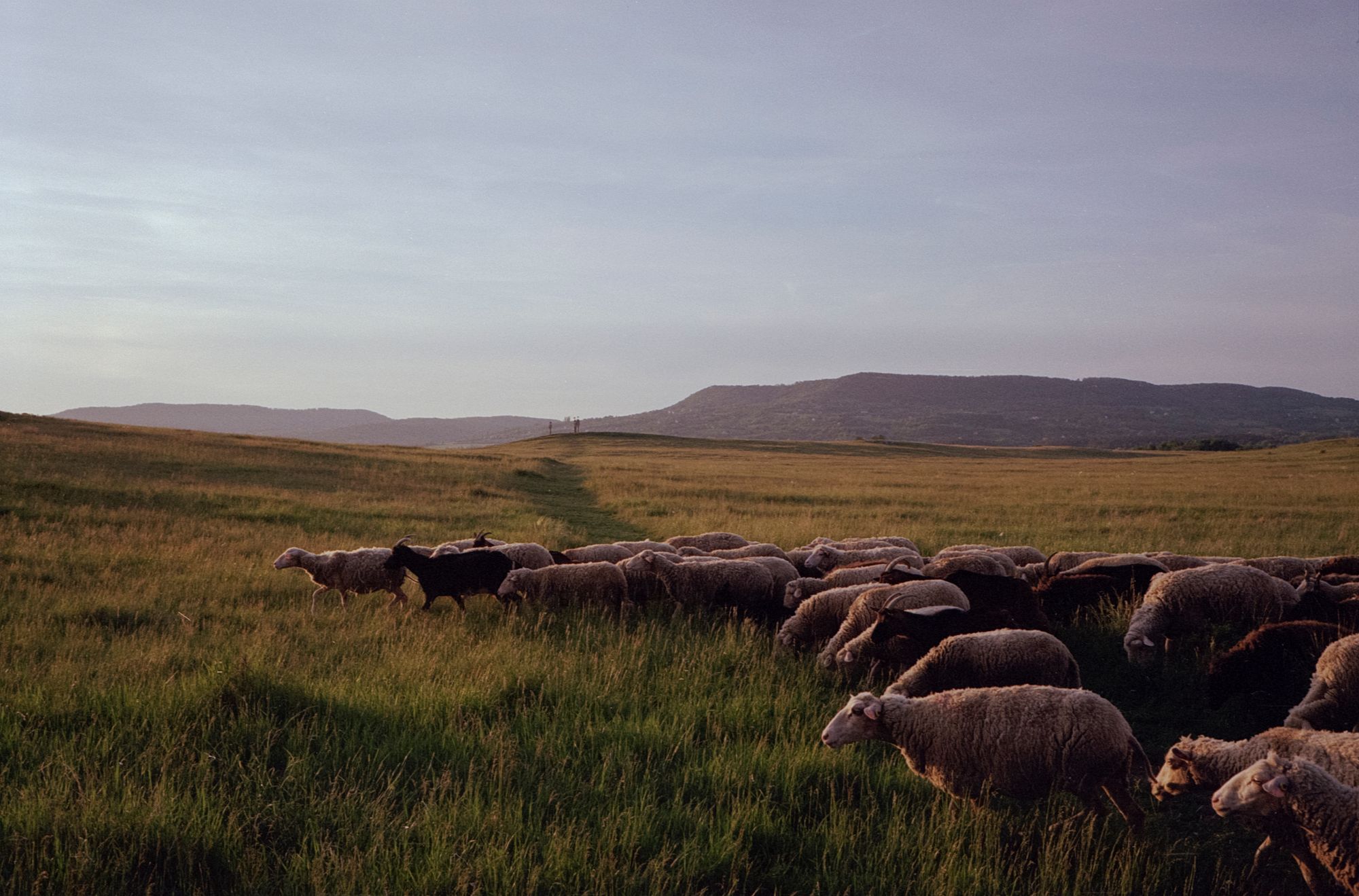 Kedvenc klasszikusaink a Balaton-felvidékről