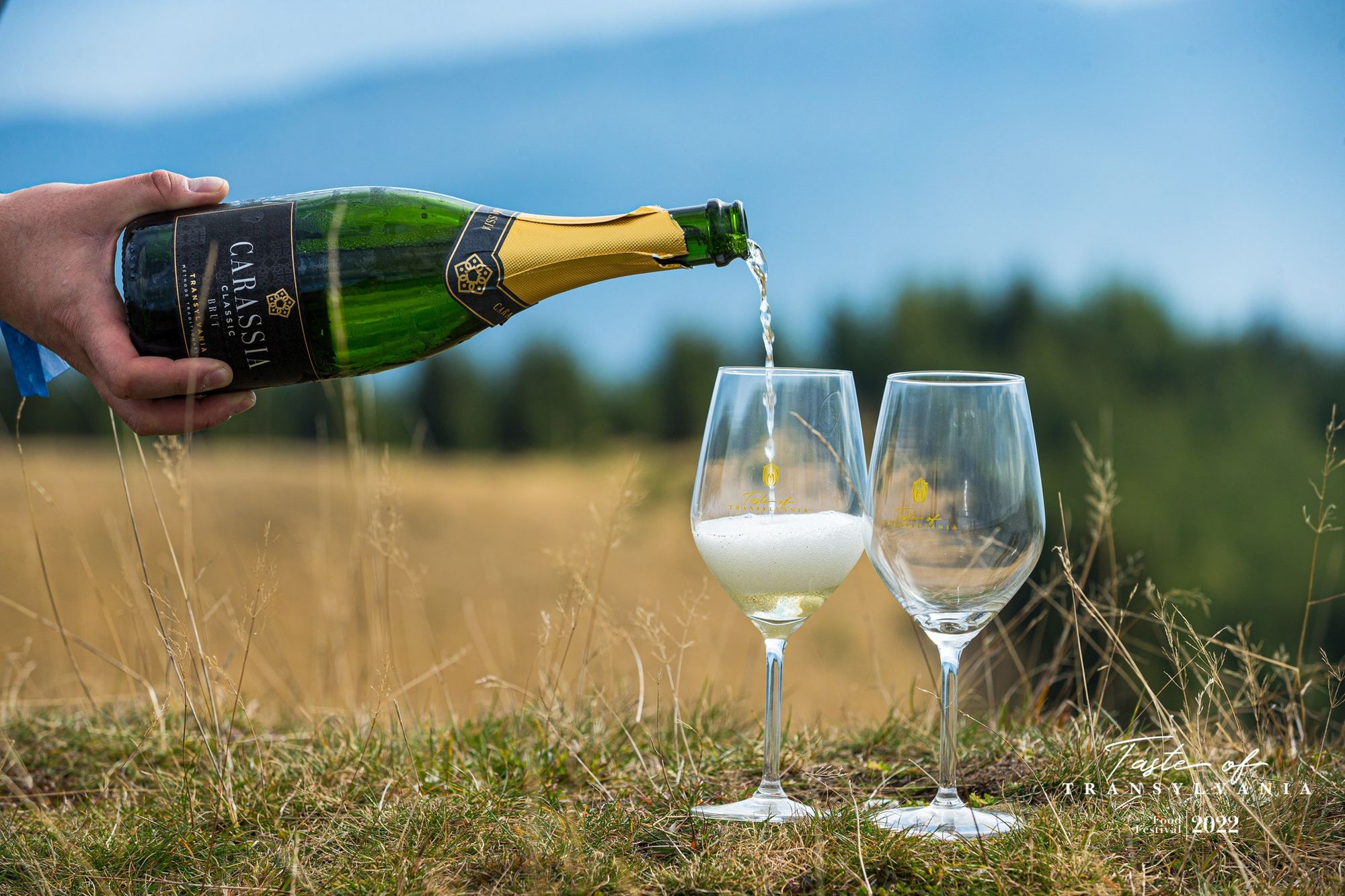On the same latitude as Burgundy: a sparkling wine champion from Transylvania