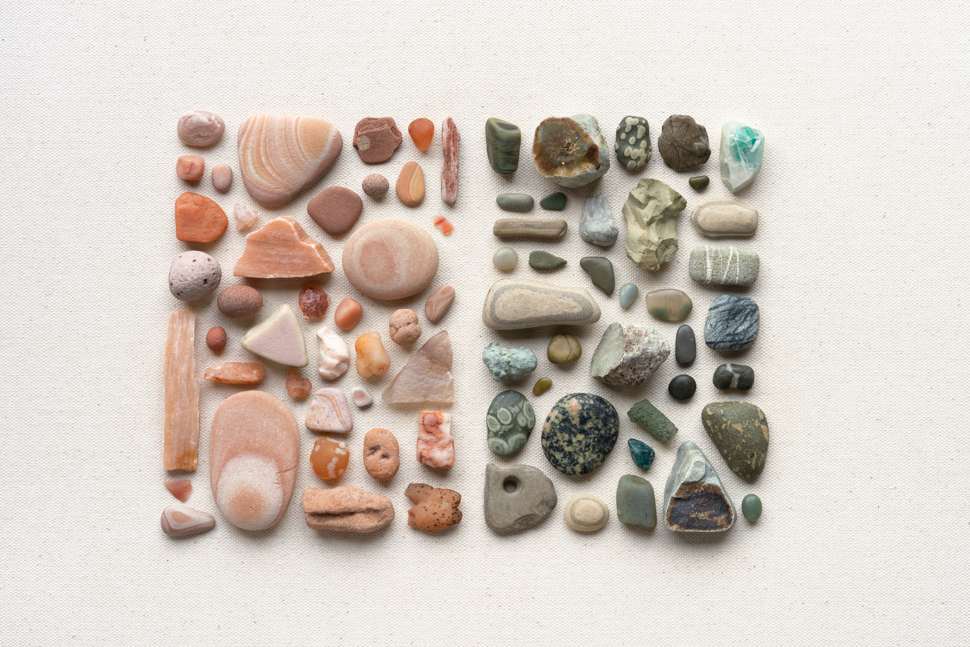 Head down – The art of appreciating nature