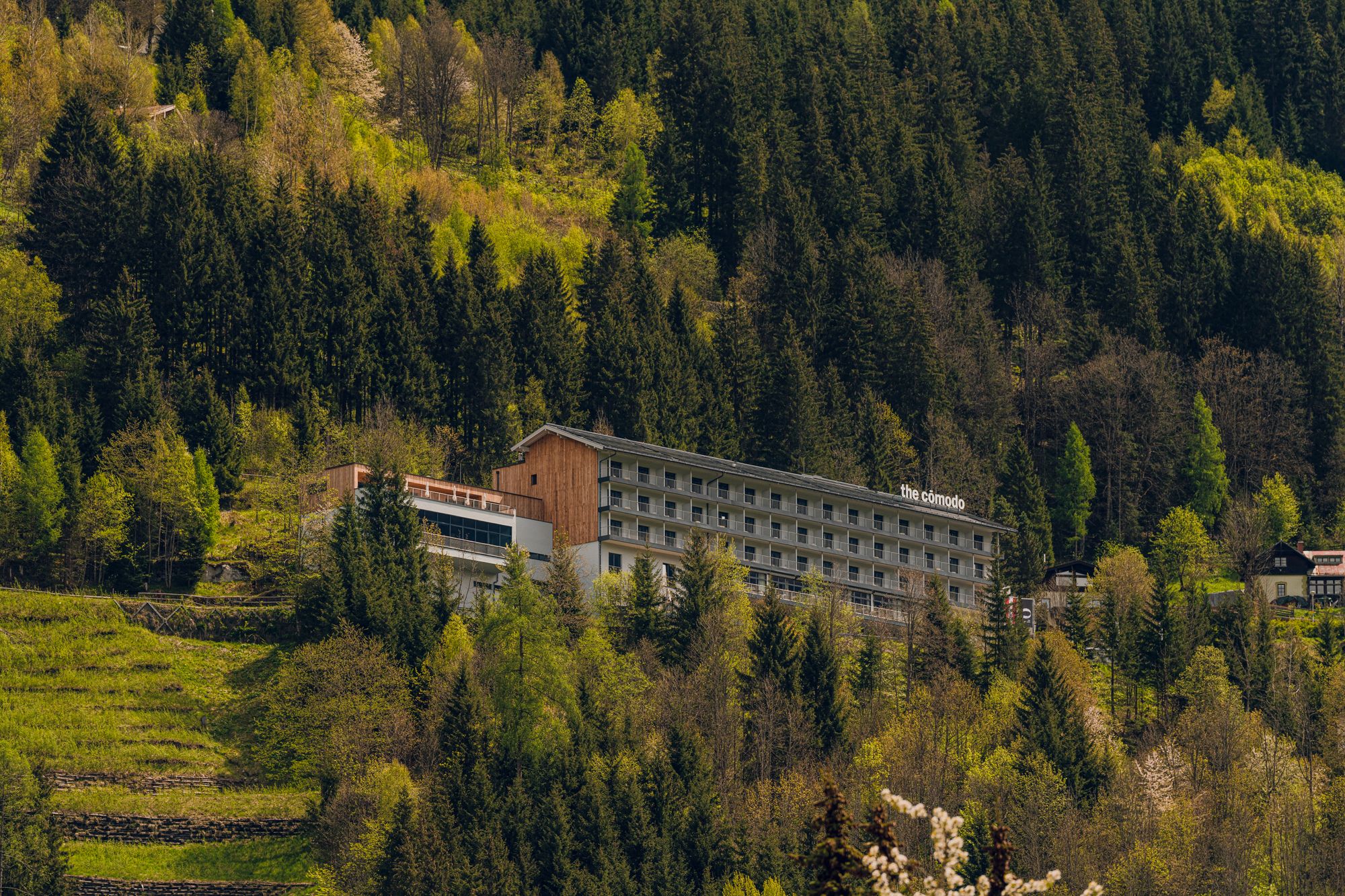 the cōmodo | Summer getaway in the Austrian Alpes
