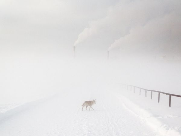 Ode to a color from Nizhnevartovsk