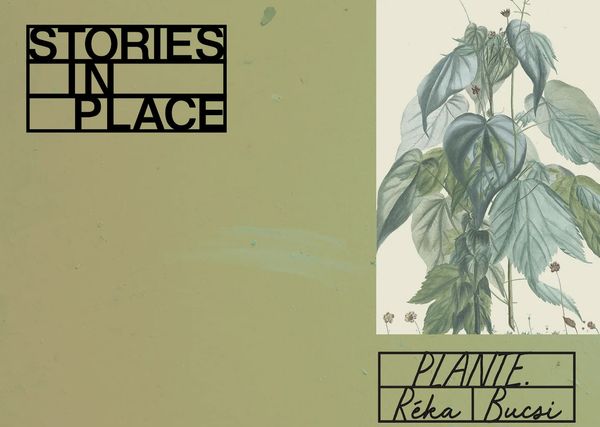 Bucsi Réka Vimeo-győztes kisfilmje | Plante.