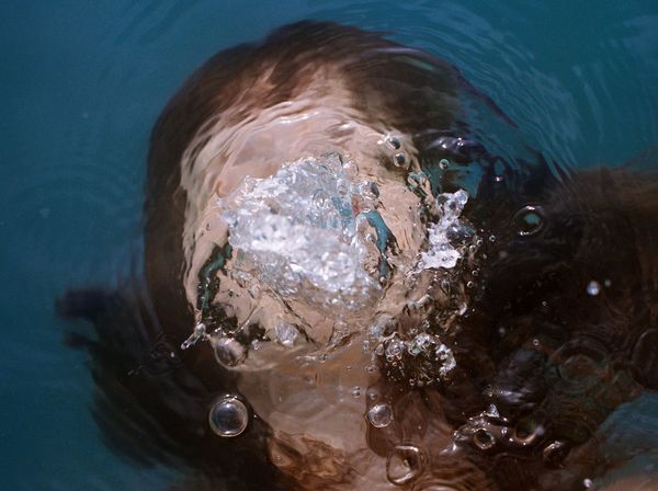 Új alkotói korszak kezdődik Tombor Zoltánnál