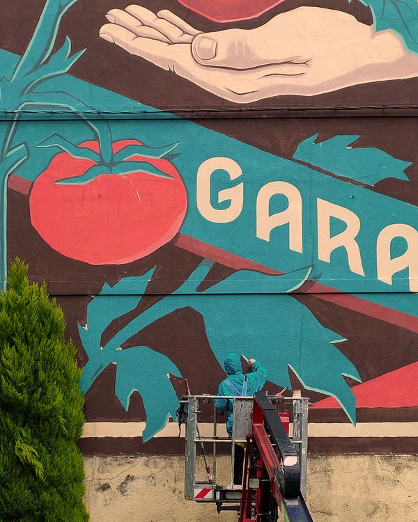 Natúr szépség |  SOFI Belgrád