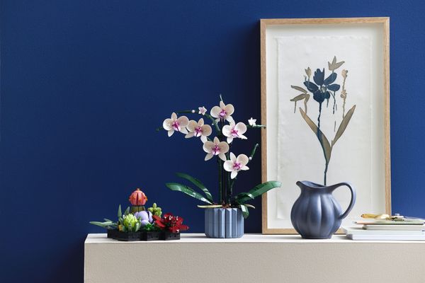 LEGO completes Botanical Collection with orchids and succulents