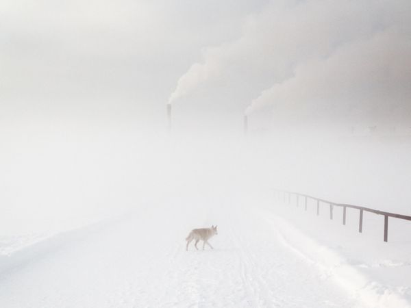 Óda egy színhez  Nyizsnyevartovszk városából