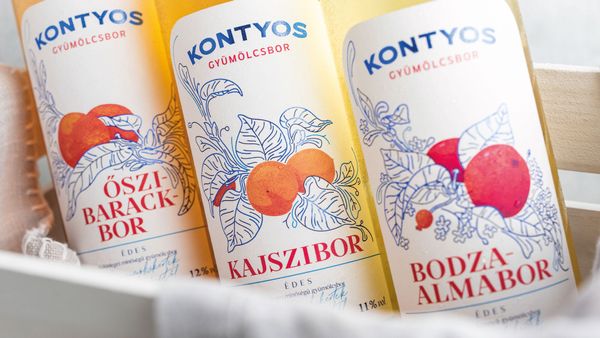 Gyümölcsbor csomagolásával tarolt a Graphasel