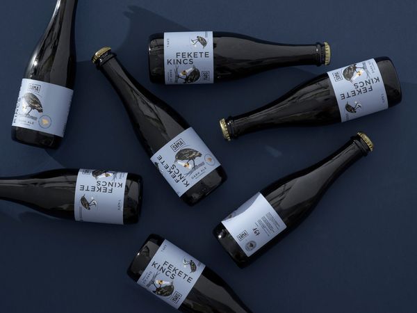 Egy régi alapanyag újrafelfedezése: sulyom újragondolva