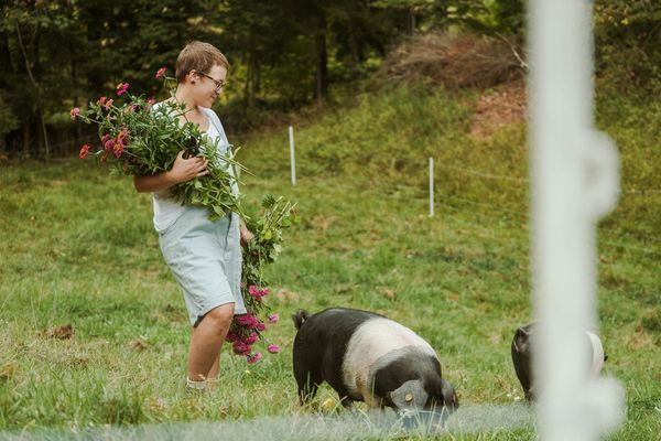 Modern önellátás a nyugalom szigetén | Mandrova ház