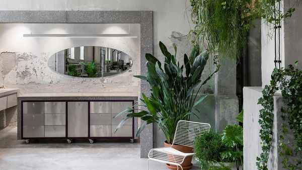 Special flower and plant shops in Eastern Europe | TOP 5