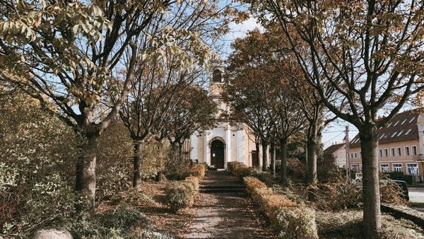 Trip Vibes | Kőbánya, Budapest