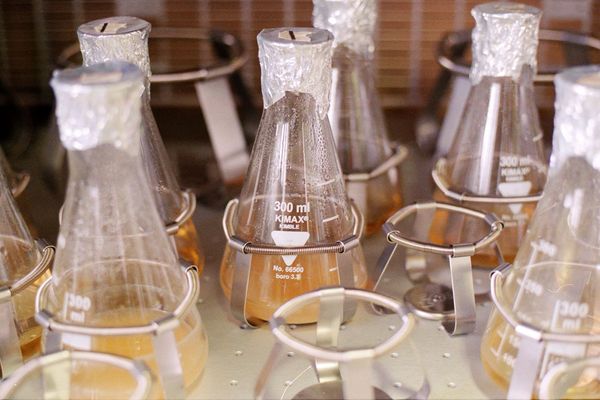 Így menthetjük meg az életadó talajt | Phylazonit