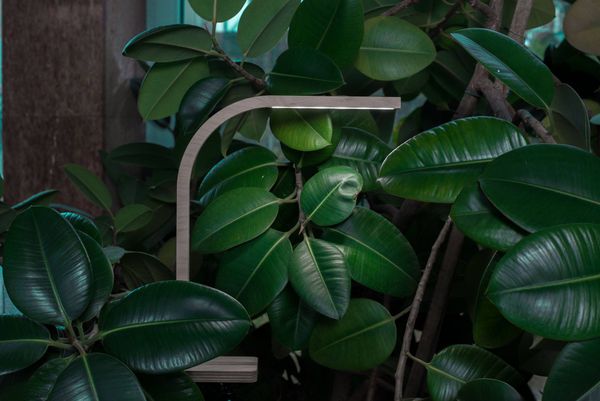 Természetes minimalizmus | Mach & Krovina