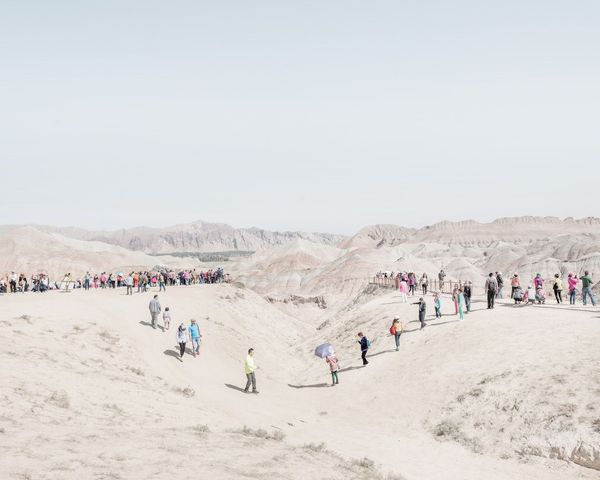 Cognition by Bence Bakonyi