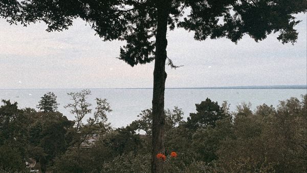 Trip Vibes | Tihany, Hungary