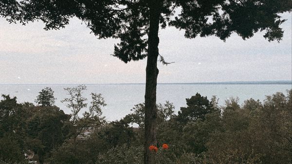 Trip Vibes | Tihany, Magyarország