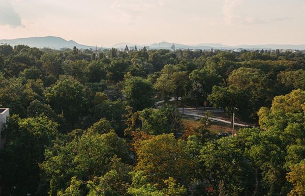 Essence of Hungary | Séta a történelemben: közparkok Budapesten