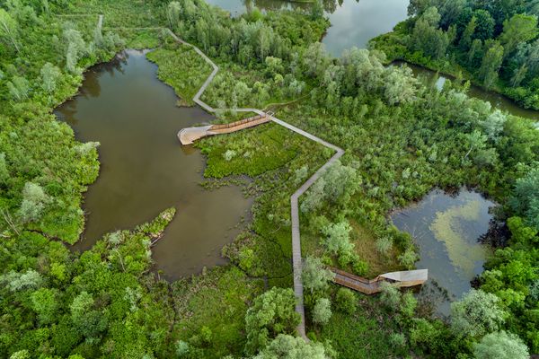 Immersing in the power of nature | 55Architekci