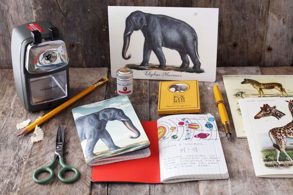 Bolygók és állatok a Bomo Art új noteszein