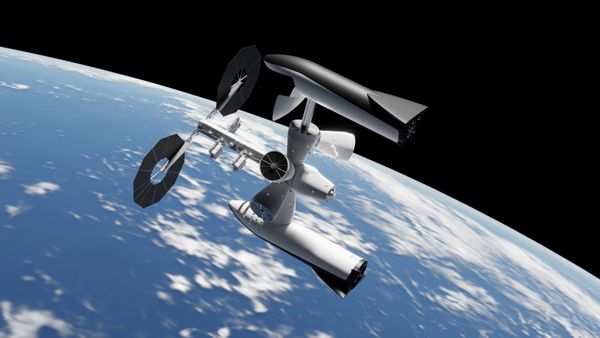 Tom Cruise X Elon Musk