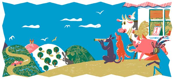 Visual storytelling through the eyes of Daniela Olejniková