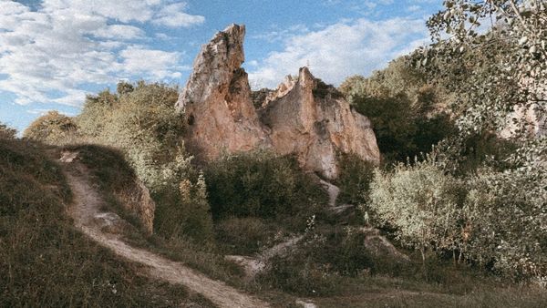 Trip Vibes | Pilisborosjenő, Magyarország