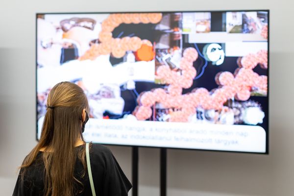 Negyedik alkalommal adták át a DECODE díjait