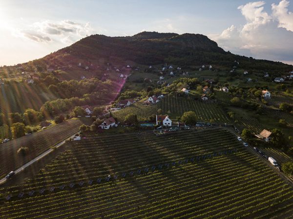 Overnight cellar visit and festivities in the Balaton wine region in Hungary