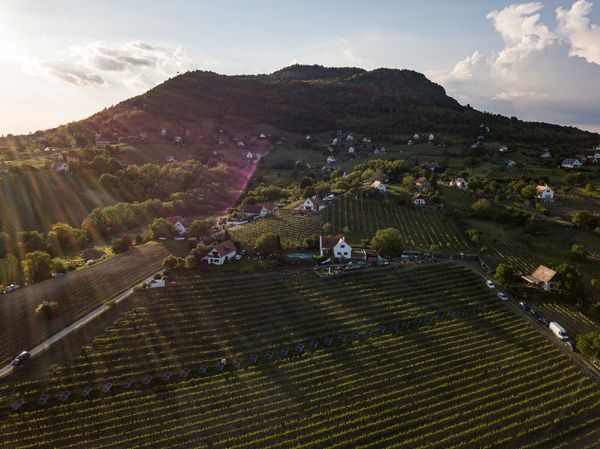 Éjszakába nyúló pincelátogatás és vigadalom a Szent György-hegyen