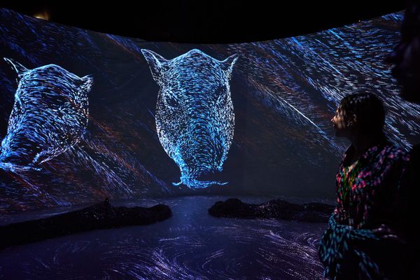 How to experience the course of nature in 5 minutes | Circle of Life