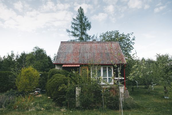 Gyökeret ereszteni a peremen