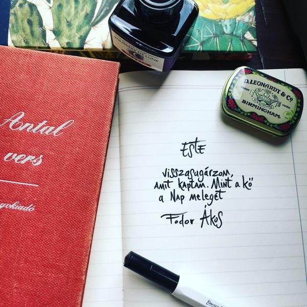 Heartwarming meeting of literature and design | Bomo Art