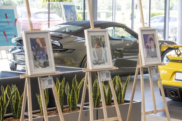 Youngart Gallery Organizes a New Exhibition - Event Recommendation