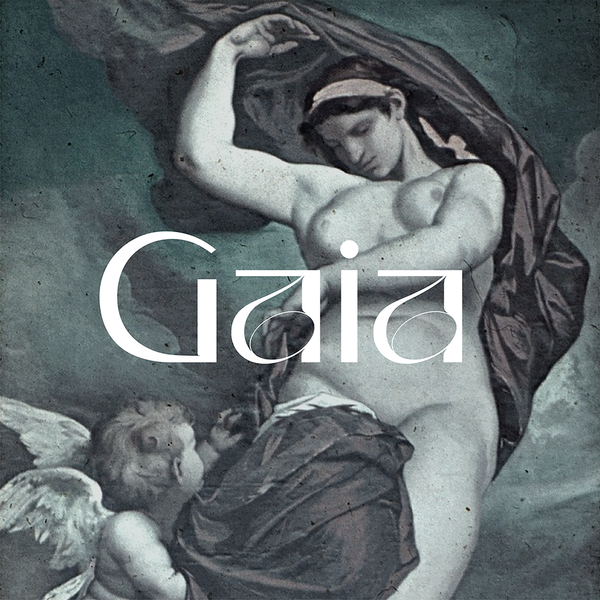 Kaszanyi Nóra | Gaia Display