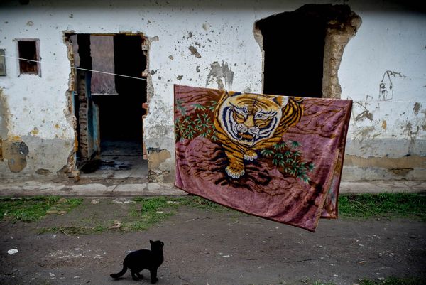 MIAU! | Capa Központ