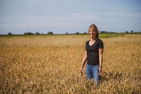 From sustainable gastronomy business to Hungarian rice | Piqniq Pack—Part 2