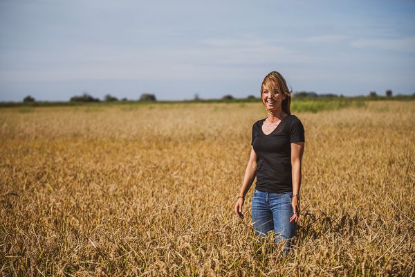 A fenntartható gasztrovállalkozástól a magyar rizsig | Piqniq pakk – 2. rész