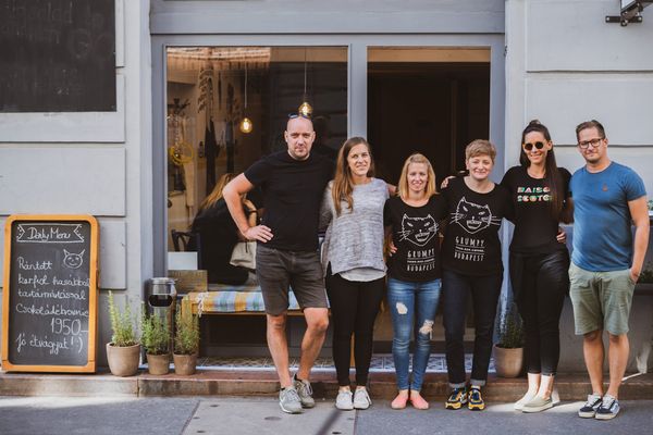 „People go to places they trust” | Piqniq Budapest x Mastercard