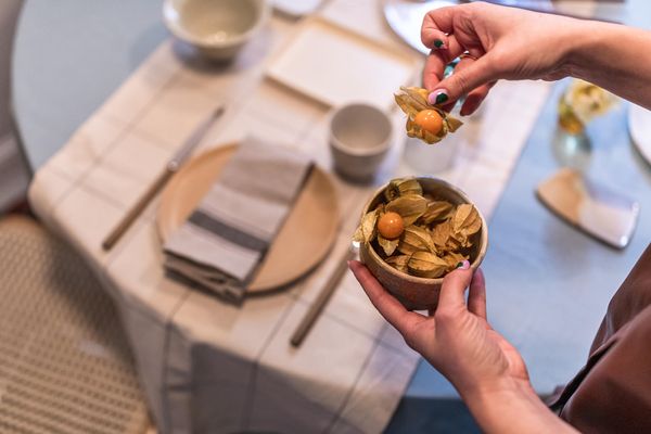 A minőségi friss halaktól a szépen terített asztalig | Piqniq pakk – 6. rész