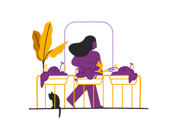 Creatives in quarantine | Recommended by the editors of HYPE – Daily flow