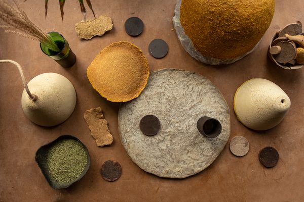 Harm less | Biodegradable design objects