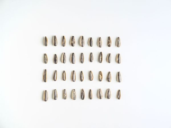 Büfé #8—Salty crunchies